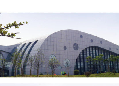 阆中会议中心外景网架工程